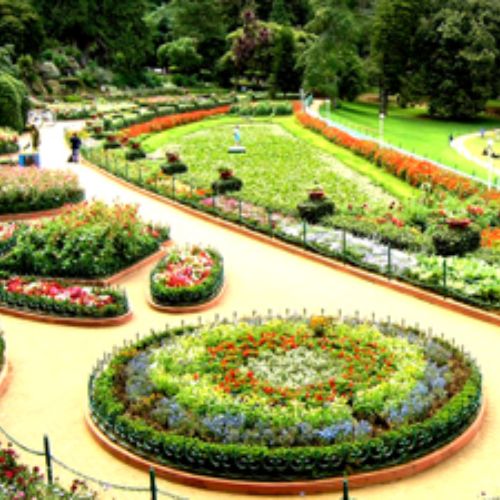 Botanical Garden in Ooty